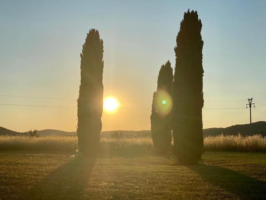 Casale Artemisia Capalbio Bed and Breakfast Buitenkant foto